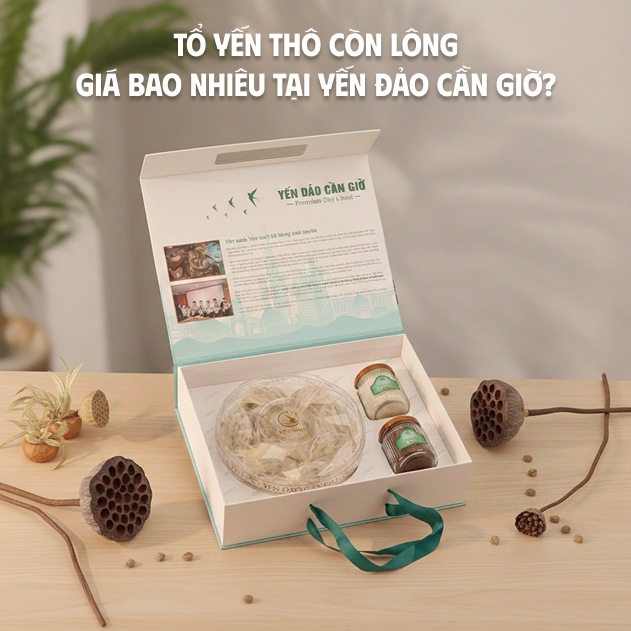 CHÂN TỔ YẾN THÔ LOẠI 1 BÁN GIÁ TỐT KÈM QUÀ TẶNG